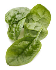 Baby spinach leaves isolated on white background cutout