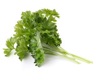 fresh parsley herb  leaves isolated on white background cutout