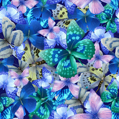 Obraz na płótnie Canvas butterfly blue