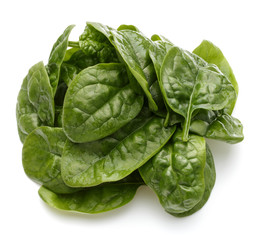 Obraz premium Baby spinach leaves isolated on white background cutout