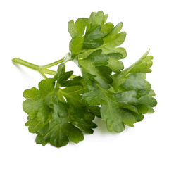 fresh parsley herb  leaves isolated on white background cutout