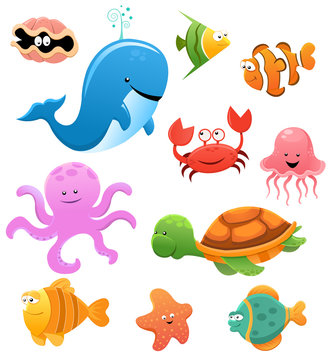 Sea Animals Illustration