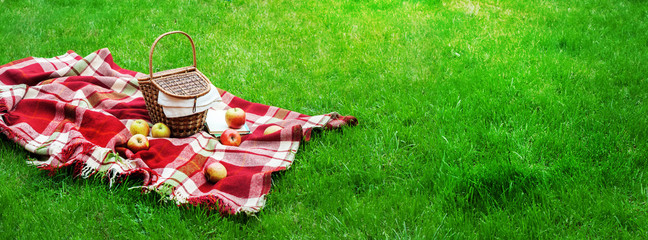 Checkered Plaid Picnic Basket Green Grass Summer - 109771025