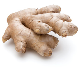 Fresh ginger root or rhizome isolated on white background cutout