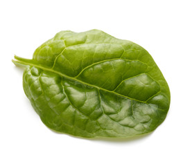 Fototapeta premium Baby spinach leaves isolated on white background cutout