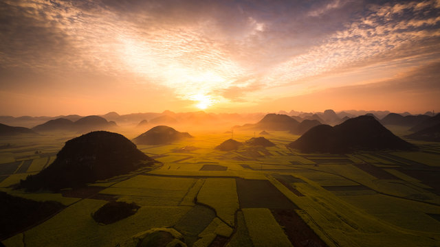 Sunrise over oilseed rape fields, Luoping Yunnan, China