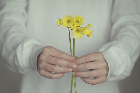 Mid section of boy holding yellow flowers