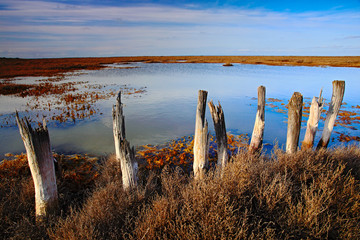 March landscape with old broken fence, summer day with blue water and sky, Camargue, France - obrazy, fototapety, plakaty