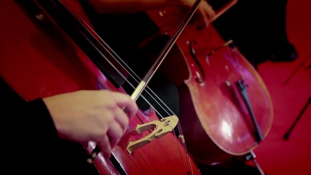 Musicians playing cello, close up shot