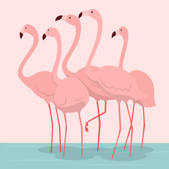 Naklejka premium pink flamingos