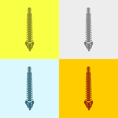 Icon Of Spinal Cord.