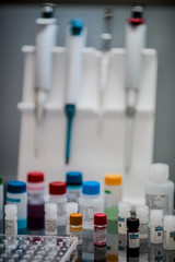 Set for the study (table with instruments, pipettes and samples)