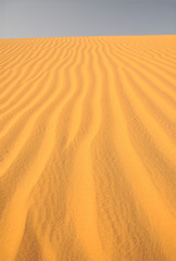 Sand dunes of Thar desert, Jaisalmer, Rajasthan, India 