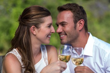 Happy couple enjoying wine in park