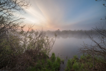 The Springtime Shoreline of a Foggy Mountain Lake at Sunrise