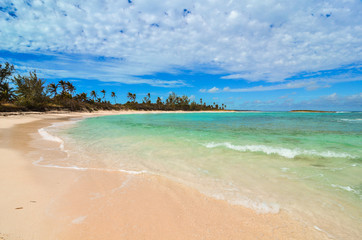 Deserted palm beach on Eleuthera (Bahamas)