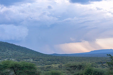 Fototapeta na wymiar Savanna plain with storm cloudy sky background against distance view of mountain. Serengeti National Park, Tanzania, Africa. 
