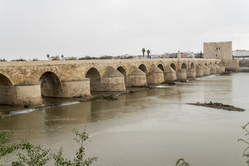 Fototapeta premium Cordoba Roman bridge over the river Guadalquivir, Spain