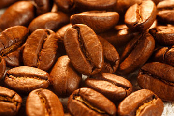 colombian coffee beans close up