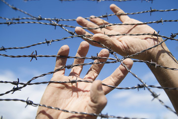 Hands in barbed wire