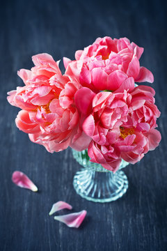 Close-up floral composition with a pink peonies on a dark brown wooden background .