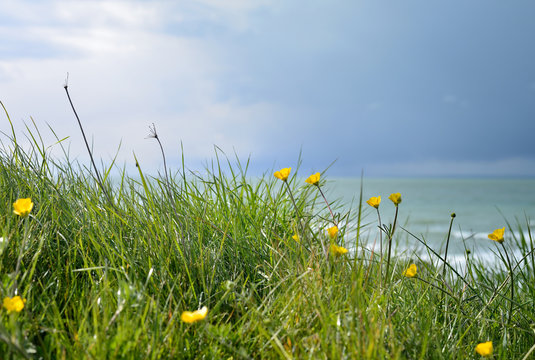 la c&ocirc;te au printemps