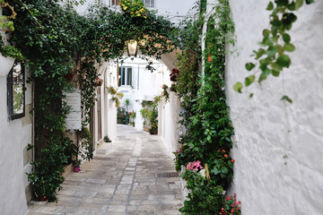 beautiful view of scenic narrow alley with plants, Ostuni, Apulia, Italy
