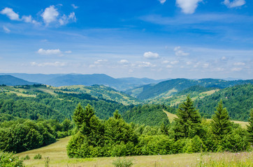 Fototapeta na wymiar mountain summer landscape. trees near meadow and forest on hills