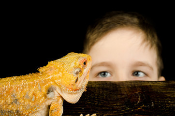 kid and australian dragon  