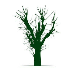 Green Shape of Tree. Vector Illustration.