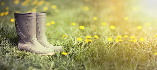 Website banner of wellington boots in spring