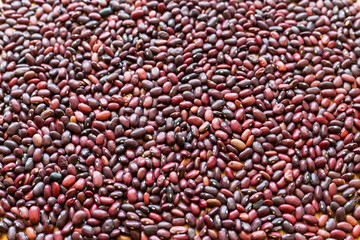 Red beans  pattern and texture. Closeup.