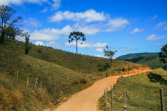 Monte Verde