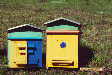 Two colourful wooden beehives. Lodges for bees