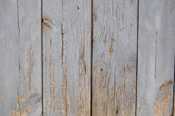 Fototapeta premium wooden planks, wooden background, grey, white