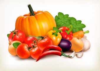 Fresh vegetables isolated on white background. Vector background