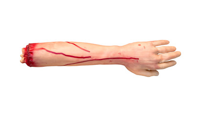 Fake severed human arm with terrible blood isolated on white background. Clipping path inside.
