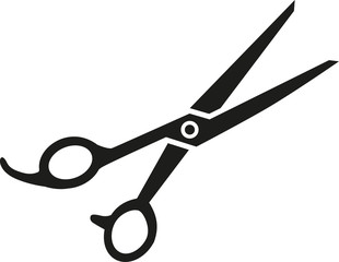Hairdresser scissor