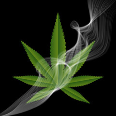 Green medical Marijuana leaf with a smoke. Vector illustration.