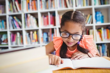 Little girl reading a book