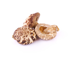 Dried shiitake mushroom isolate on white background