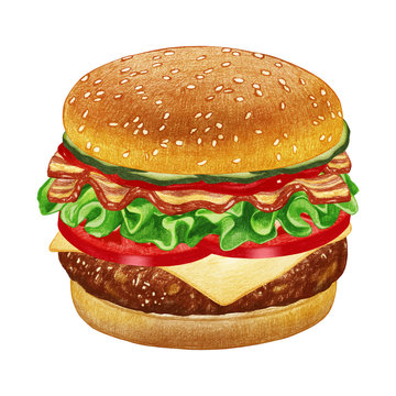 Cheeseburger. Hand-drawn illustration, digitally colored. Vector