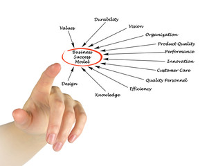 Business success model