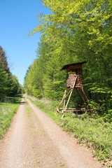 Hochsitz an einem Waldweg im Hochformat