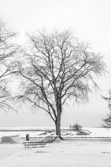 Wintry morning by the sea in Helsinki