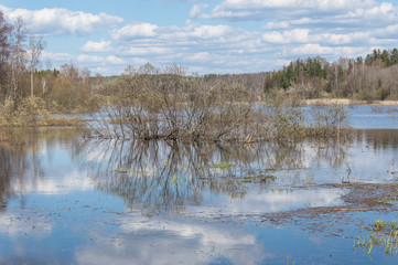 Spring and floodwater on the river