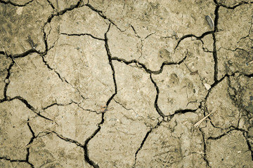 Texture of a dry l;and with cracks