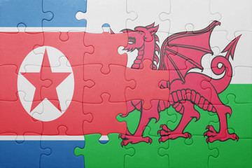 puzzle with the national flag of wales and north korea