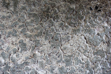 close up of cement floor texture for background