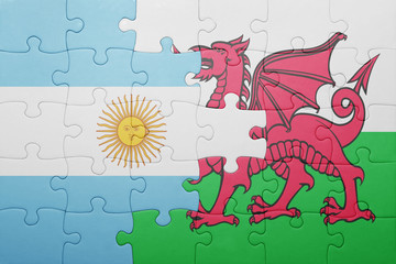 puzzle with the national flag of wales and argentina